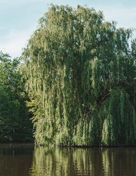 Ziegen weiden täglich Hektar, verhindern Brände
