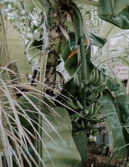 Chiquita: Durchbruch in nachhaltiger Bananenproduktion