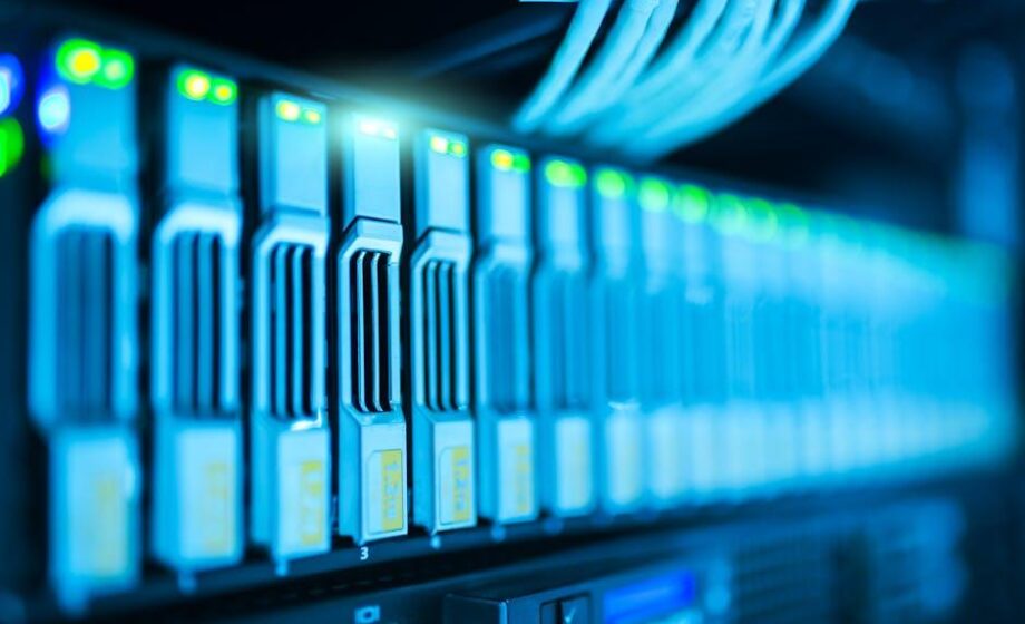 Versicherungspolicen, Big Data, Agroenergien: Interview-Themen