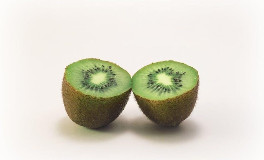 Kiwi in Venetien: Markt gut, Flächen jedoch rückläufig – Aus der Region