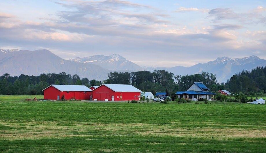Coldiretti: Unsere Antwort auf Farm Assurance Review