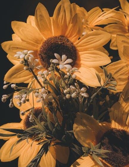 Girasole: Geistermarkt ohne Regeln