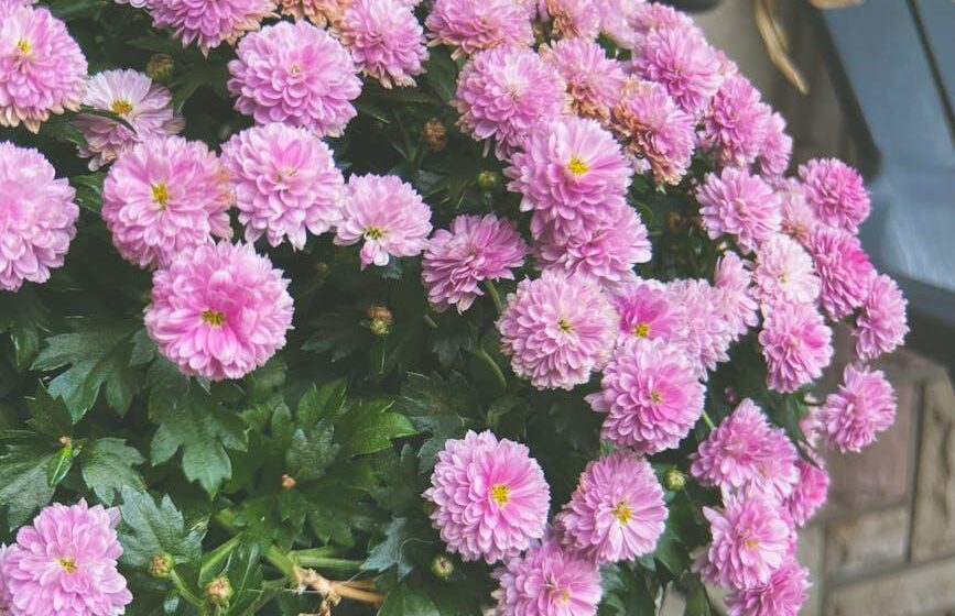 Kooperativen und öffentlicher Dienst: Würdigung für Jim Wadsworth