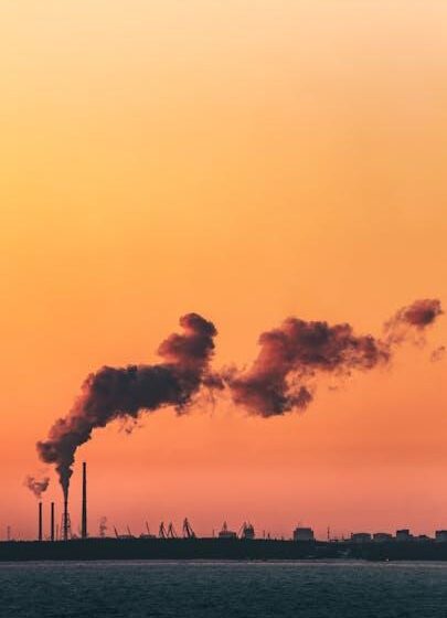 CO2-Speicherung im Wald: Ergebnisse erwartet