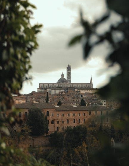 Siena präsentiert erstes EVO in SIENA: Hommage an Toskanas Olivenöl