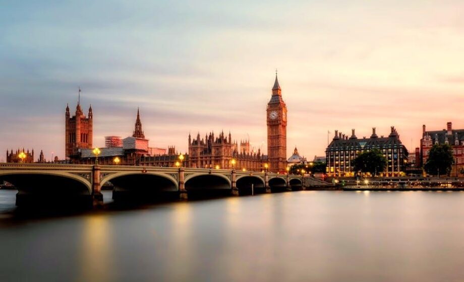 Viele Gründe für Rückgang beim Bohnenanbau in UK