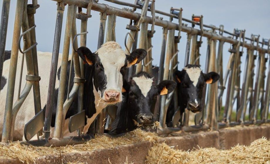 Der Agrobusiness-Insider – Nachrichten für Unternehmen