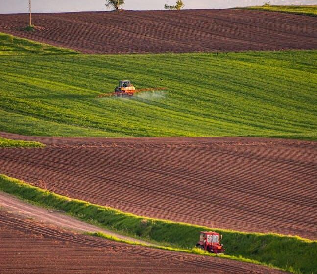 SAECA expande la línea para fortalecer los créditos agroalimentarios