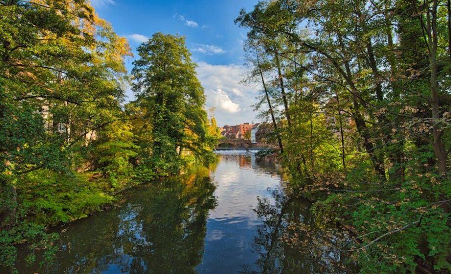 Bauernvertrauen erholt sich: Höchststand des Jahres erreicht