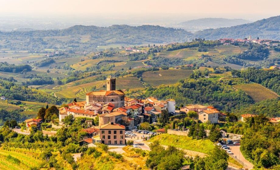 Landwirtschaftsbetriebe lernen Wettbewerbsfähigkeit – November-Events in Gorizia