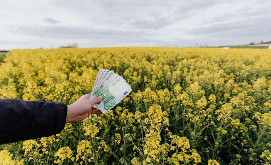 Analysten: Schwierige Verabschiedung des Farm Bills