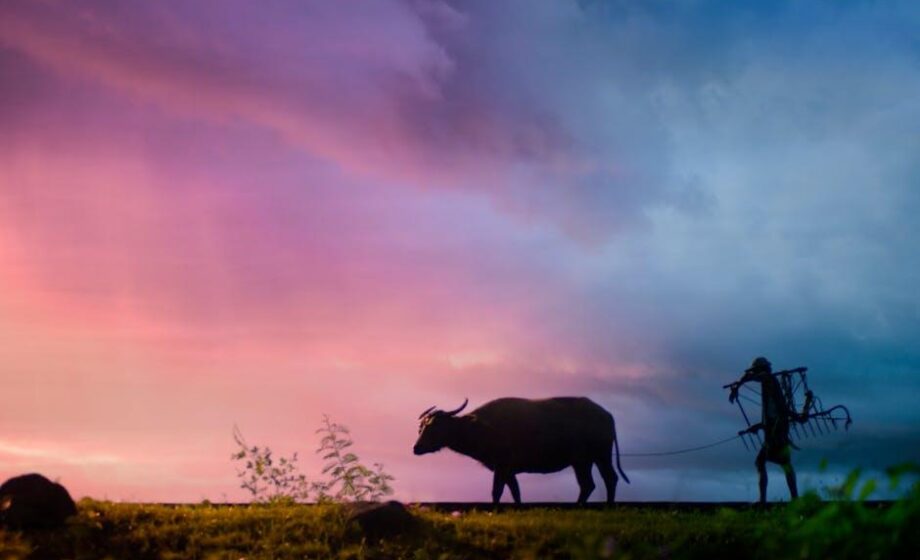 Farmers demand a reassessment of the EU-Mercosur agreement