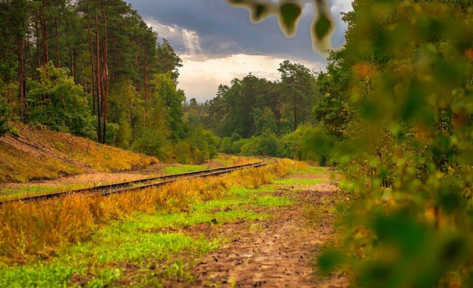 Wie wird die CO2-Transition finanziert?