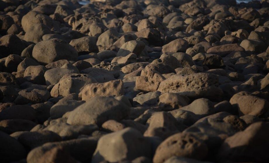 Senegal: Vor den Parlamentswahlen