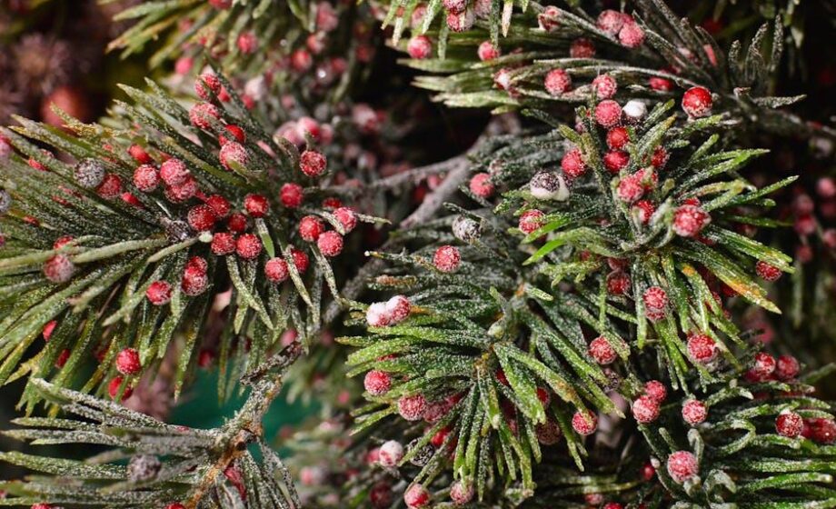 Coldiretti zur Übernahme von Yew Tree durch Müller