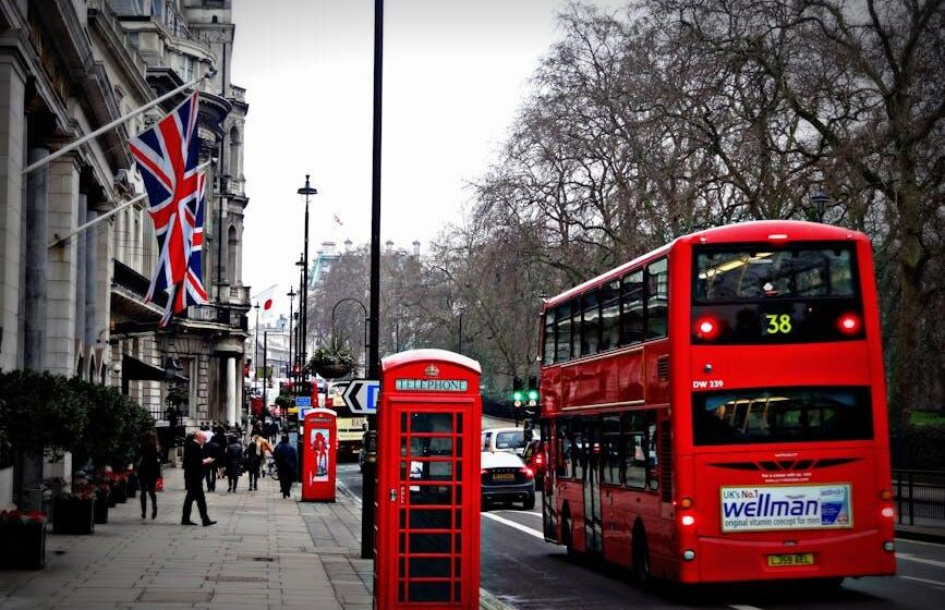 UK: Geringste Rapsfläche seit 42 Jahren erwartet