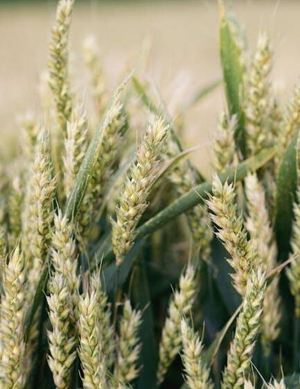 Einzelhandel unterstützt Agrarproteste verstärkt
