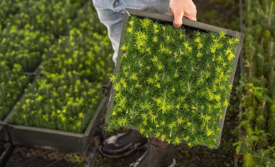 Der AgriBusiness-Insider – Infos für Branchenunternehmen