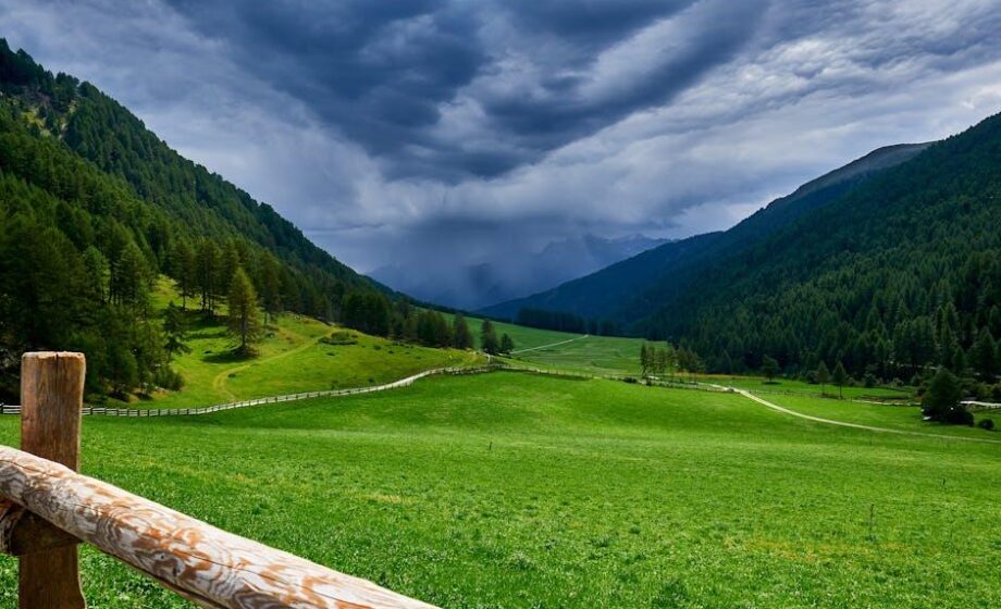 Ölproduktion in Italien sinkt: Mehr Förderung und Information nötig