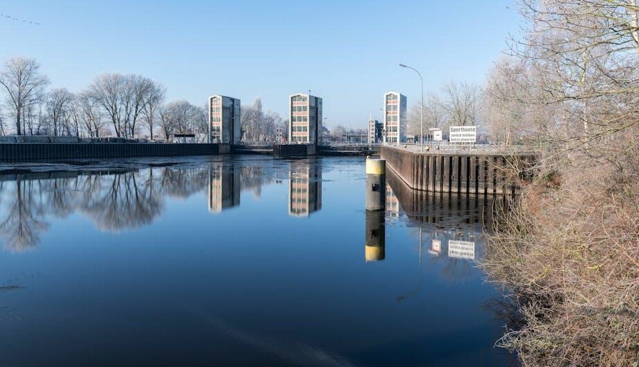 Flächenbedarf: Deutschlands Bioökonomie im Ausland