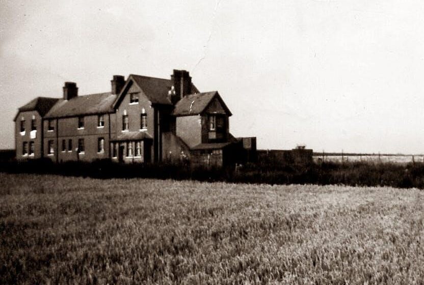 Vogelinfluenza bei Norfolk-Truthahnfarm entdeckt