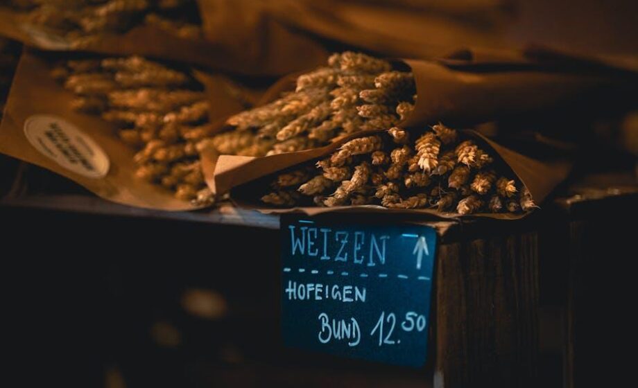 Argentinischer Weizen steigert Wettbewerbsfähigkeit