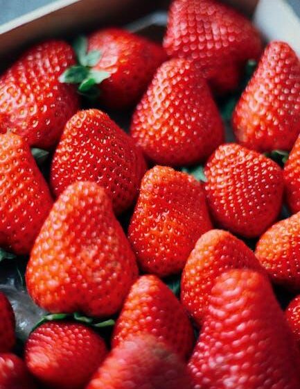 Agro-Info für Unternehmen im Ernährungssystem