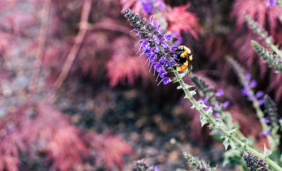 USDA APHIS informiert: 7 neue Staaten bei Milchtestplan