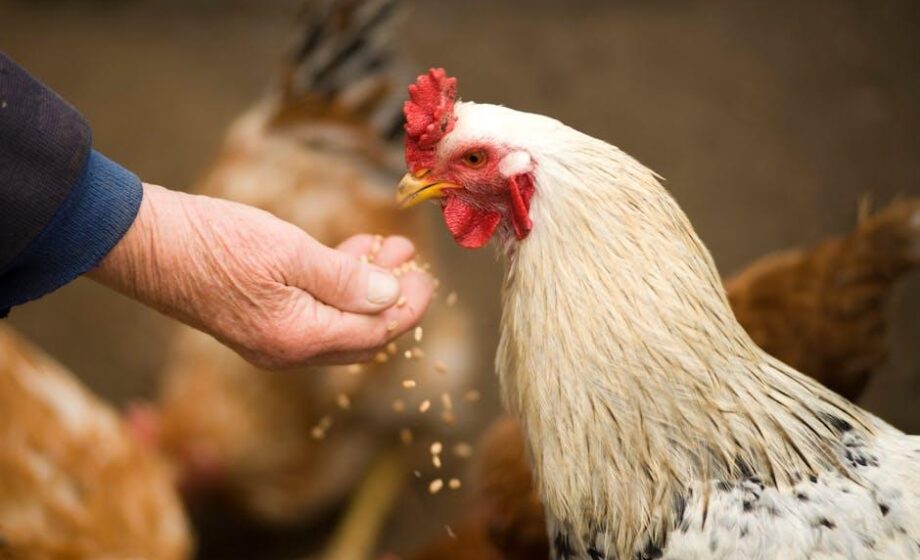 Warum bekämpfen Pestizidfirmen PFAS-Gesetze?