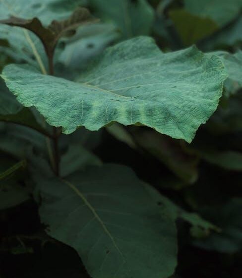 Nordoststaaten fördern Bio-Landbau-Wachstum