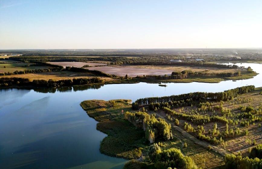 Förderung für Landwirte: ELMs, SFI & Zuschüsse verstehen