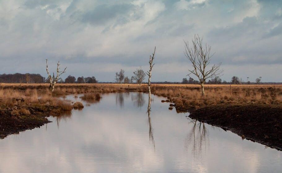 Moorland-SFI: Erste Schritte der Uplands-Gruppe