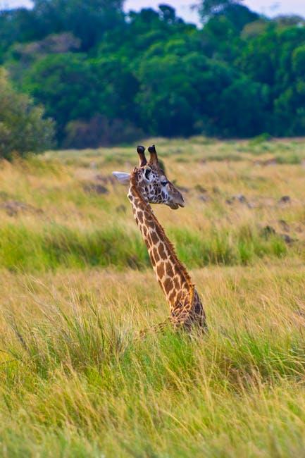 El MAPA establece la renta agraria de referencia para 2025 en 34.624