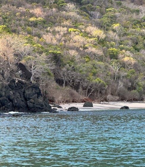 Verband fordert mehr Hilfe für Landwirte in Mayotte
