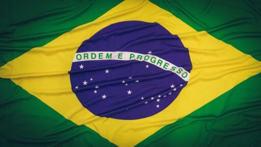 Brasiliens Regenwald: Nachhaltige Wiederherstellung