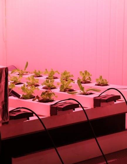 Agtech & Bayer: Ausbau der US-Biokraftstoffproduktion