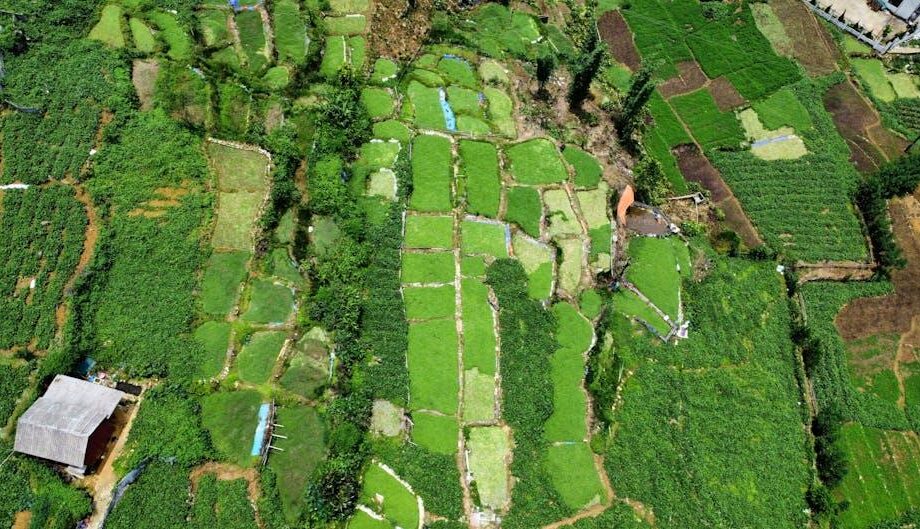 Zinslose Kredite für Landwirte von Cai