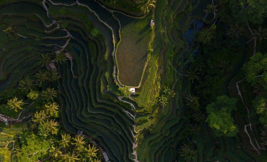 Agriculture Dive stellt Veröffentlichung ein