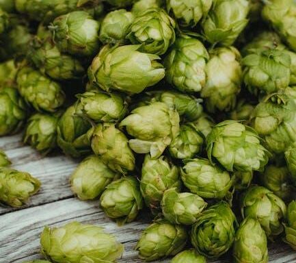 Der agroalimentare Kompass – Ihr Unternehmensjournal
