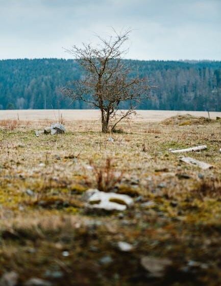 Waldbrandbekämpfung: Weniger Wasser, mehr Effektivität