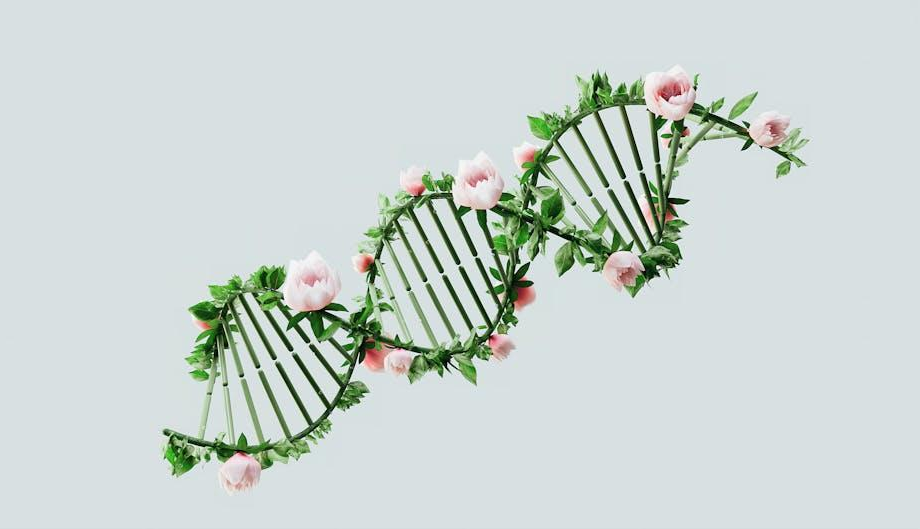 Genomtests in britischen Milchherden boomen