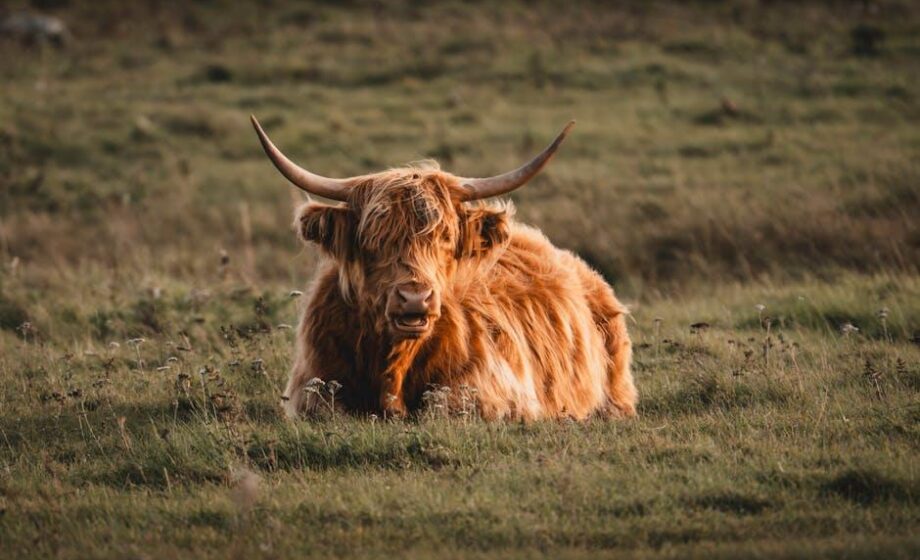 US-Landwirte gegen den Handelskrieg