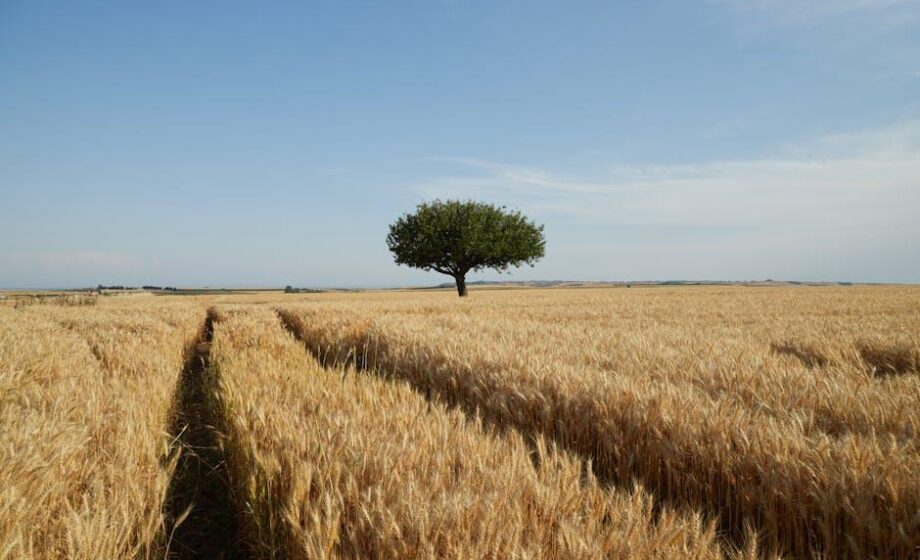 Agro-Fokus: Nachrichten für Agrarunternehmen