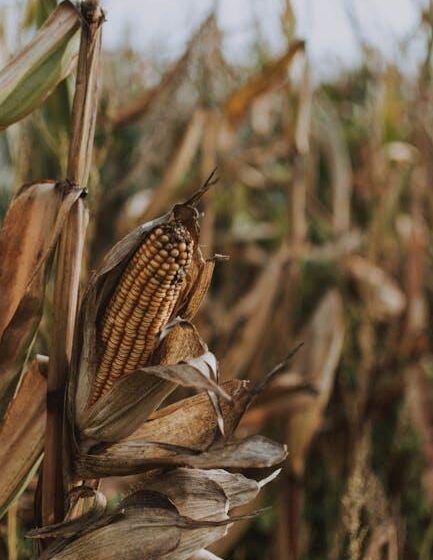 Kwizda Agro: Pflanzenschutz digital per Klick