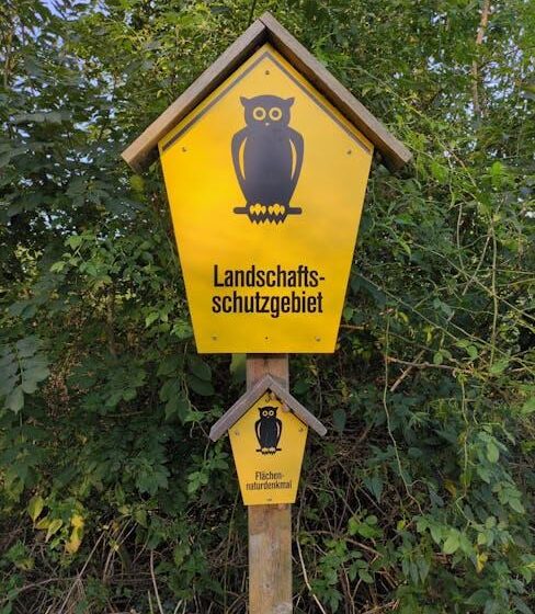 Stand der Winterkulturen-Flächen zum 1. Februar 2025