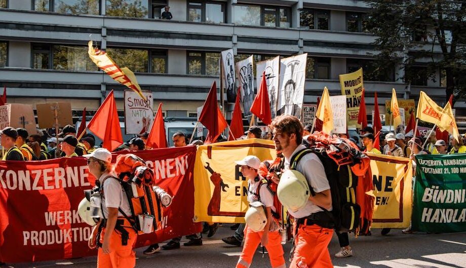 Getreide und Ölsaaten: 4 Konzerne beherrschen den Markt