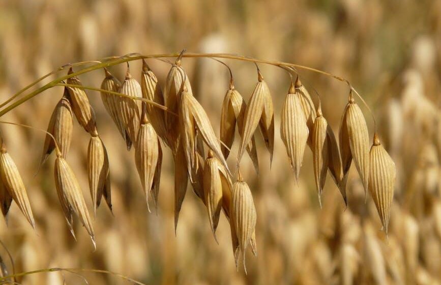 AGCO: Quartals- und Jahreszahlen 2024