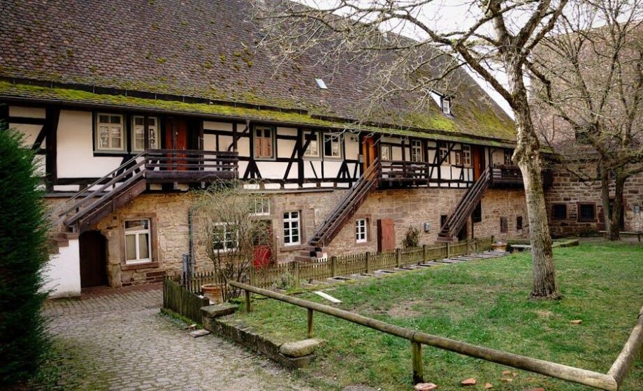 Jagdtaktiken: Wildschweinfänge in Deutschland