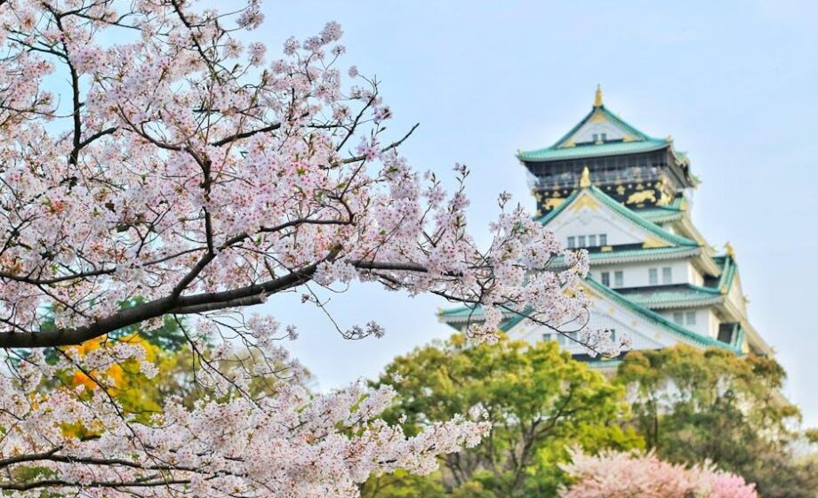 Japan öffnet seine Reisreserve