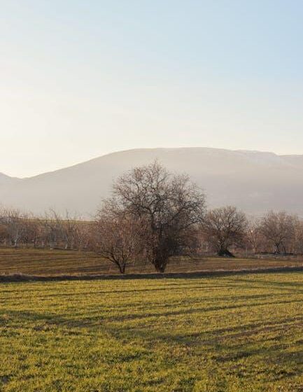 Agro-Info für Unternehmen